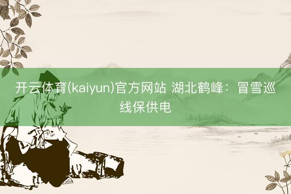 开云体育(kaiyun)官方网站 湖北鹤峰:冒雪巡线保供电