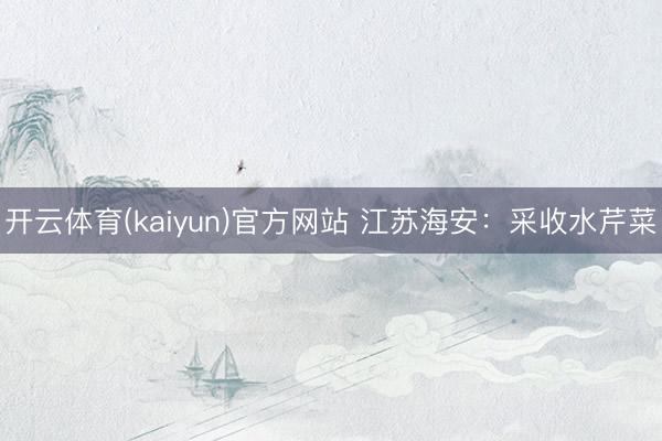 开云体育(kaiyun)官方网站 江苏海安：采收水芹菜