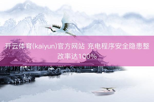开云体育(kaiyun)官方网站 充电程序安全隐患整改率达100%