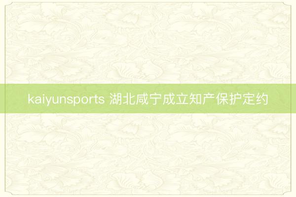kaiyunsports 湖北咸宁成立知产保护定约