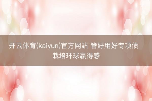 开云体育(kaiyun)官方网站 管好用好专项债  栽培环球赢得感