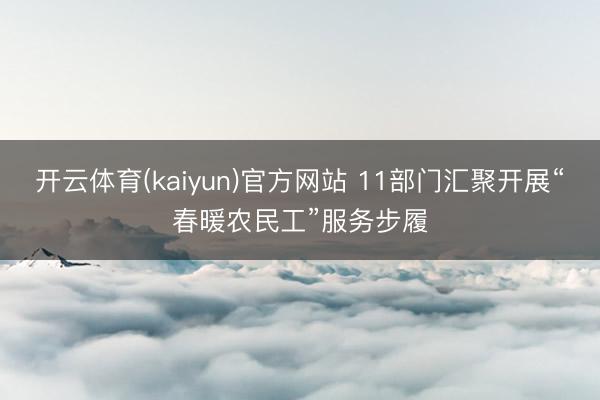 开云体育(kaiyun)官方网站 11部门汇聚开展“春暖农民工”服务步履
