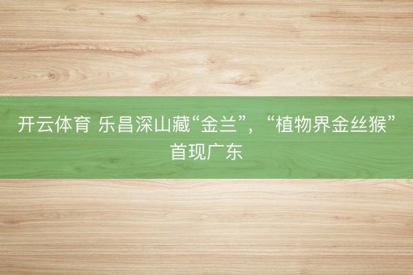 开云体育 乐昌深山藏“金兰”，“植物界金丝猴”首现广东