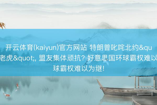 开云体育(kaiyun)官方网站 特朗普叱咤北约"纸老虎"， 盟友集体顽抗? 好意思国环球霸权难以为继!