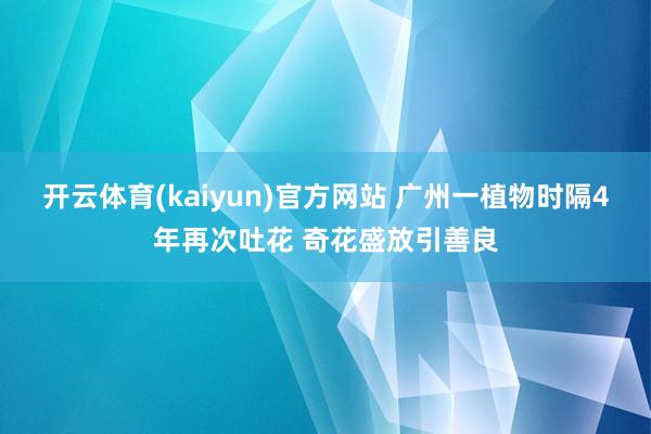 开云体育(kaiyun)官方网站 广州一植物时隔4年再次吐花 奇花盛放引善良