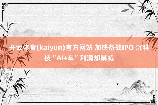 开云体育(kaiyun)官方网站 加快备战IPO 沉科技“AI+车”利润却暴减