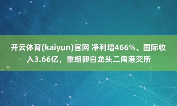 开云体育(kaiyun)官网 净利增466%、国际收入3.66亿，重组卵白龙头二闯港交所