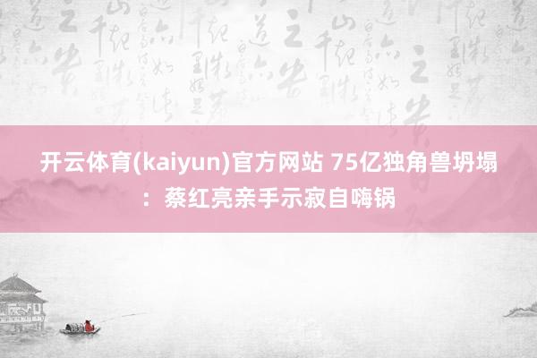 开云体育(kaiyun)官方网站 75亿独角兽坍塌：蔡红亮亲手示寂自嗨锅