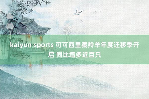 kaiyun sports 可可西里藏羚羊年度迁移季开启 同比增多近百只