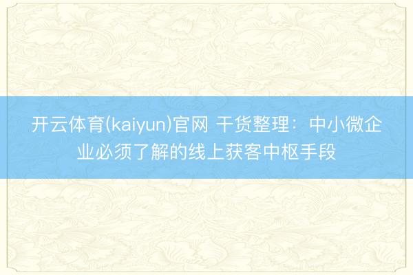 开云体育(kaiyun)官网 干货整理：中小微企业必须了解的线上获客中枢手段
