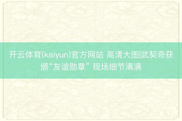 开云体育(kaiyun)官方网站 高清大图|武契奇获颁“友谊勋章” 现场细节满满