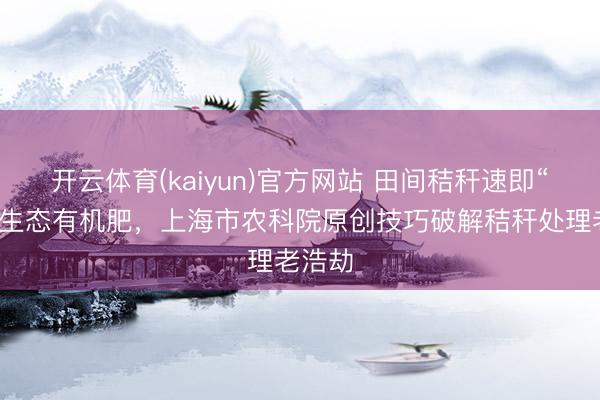 开云体育(kaiyun)官方网站 田间秸秆速即“变身”生态有机肥，上海市农科院原创技巧破解秸秆处理老浩劫