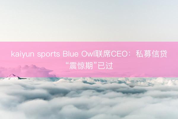 kaiyun sports Blue Owl联席CEO:私募信贷“震惊期”已过