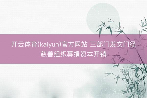 开云体育(kaiyun)官方网站 三部门发文门径慈善组织募捐资本开销
